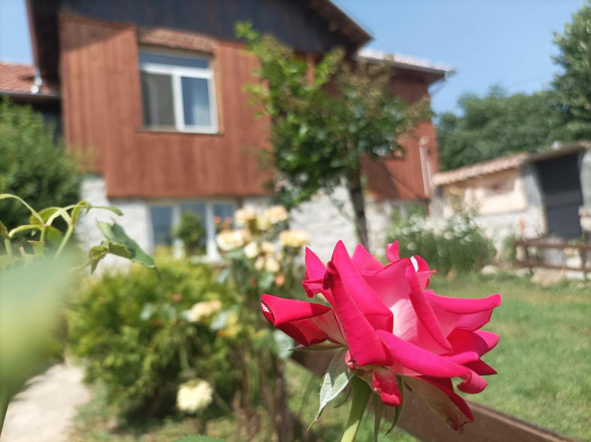 Villa Nina In Kramolin Εξωτερικό φωτογραφία